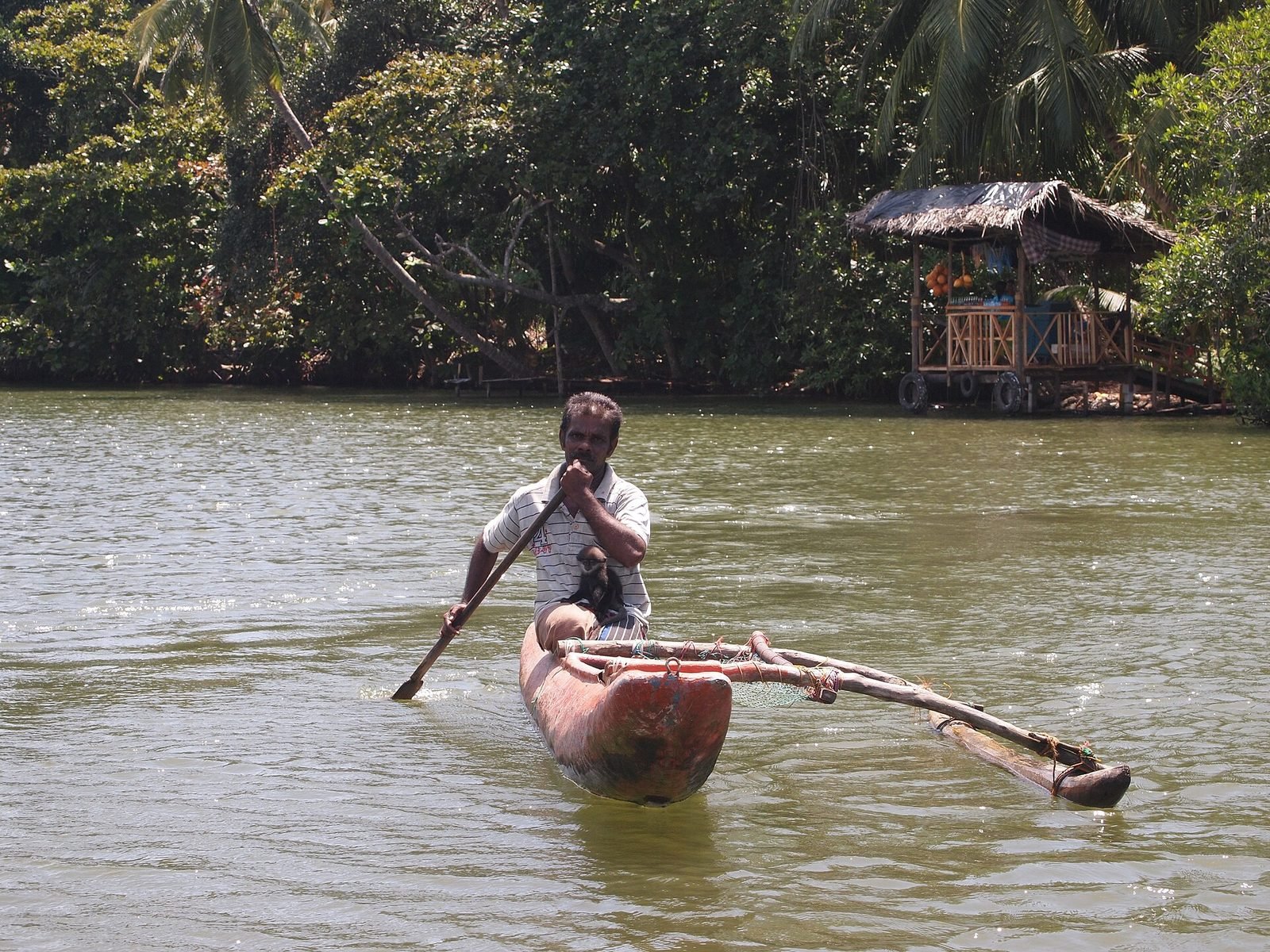 Madu River safari